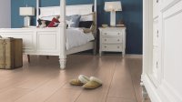 Wineo 1000 Purline zum Klicken Bioboden, Dekor Calm Oak Shell