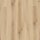 Treppenverkleidung Rigid Klick-Vinyl 0,3 mm Nutzschicht, Winkel: Überschub, XL Planke Nordic Maple Cream