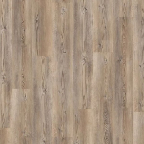 Treppenverkleidung Rigid Klick-Vinyl 0,3 mm Nutzschicht, Winkel: Überschub, Planke Coast Pine Taupe