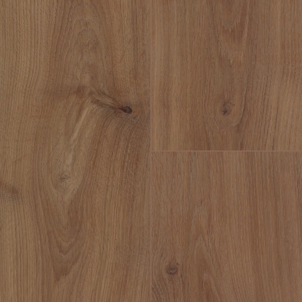 Treppenkante aus Wineo 1000 wood XL zum Kleben Bioboden Winkel: Blocküberstand, Purline Noble Oak Chocolate