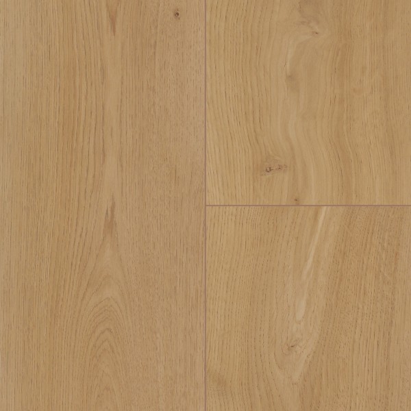 Treppenkante aus Wineo 1000 wood XL zum Kleben Bioboden Winkel: Blocküberstand, Purline Noble Oak Toffee