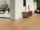 Rigidklickvinyl Designbelag Creation70 clic, Dekor Lounge Oak Golden*