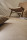 Gerflor Creation 55 Clic Acoustic, Fliese Curton Stone Taupe