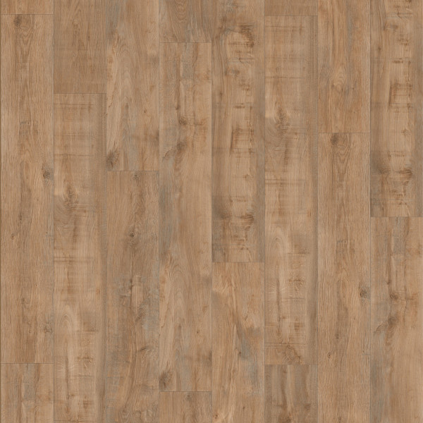 Gerflor Creation 55 Clic Acoustic, Planke Savage Oak Greige