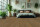 Gerflor Creation 55 Clic Acoustic, Planke Tamo Light Brown