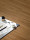Gerflor Creation 55 Klebevinyl, Planke Linear Wood Honey