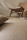 Gerflor Creation 55 Clic, Fliese Curton Stone Taupe