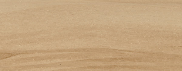 Seeuferbuche (2336) Abnahme nur jeweils 20 Stück