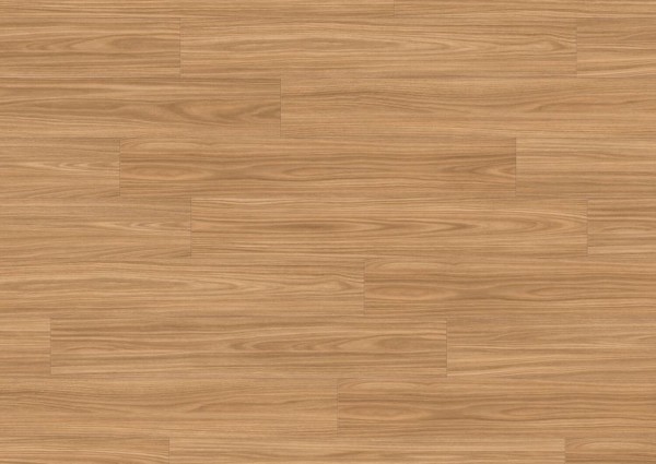 Linear Wood Nature