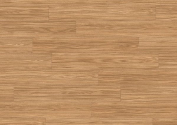 Linear Wood Nature