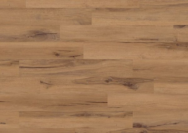1606-CEDAR GOLDEN