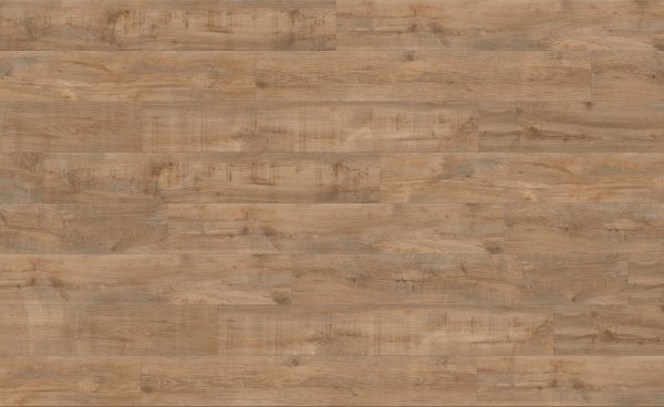 1708-SAVAGE OAK GREIGE